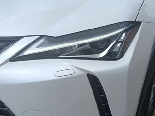 Lexus UX UX 250h Eco 135 kW (184 CV)
