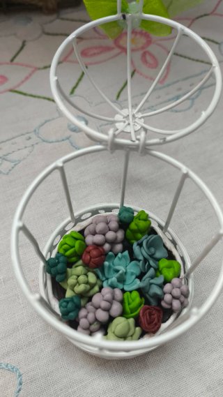 Gabbietta decorativa con piante grasse mini