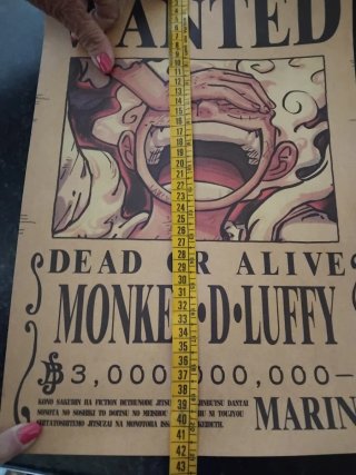 Poster Wanted Monkey D. Luffy Marine