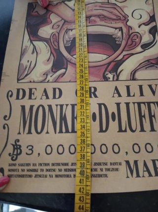 Poster Wanted Monkey D. Luffy Marine