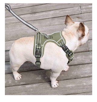 Arnés perro Talla S - Verde Oliva