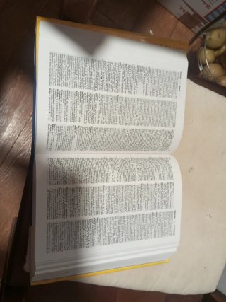 Compact diccionario alemán
