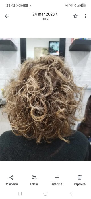 Peluquera domicilio