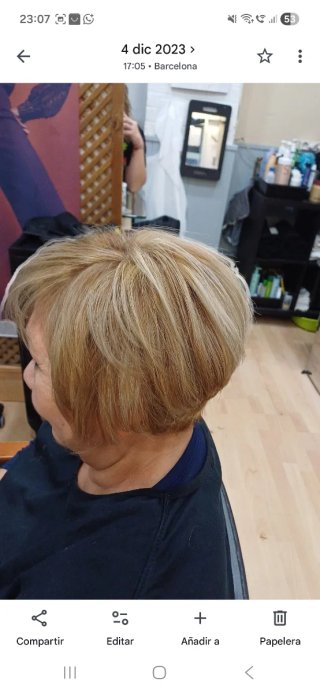 Peluquera domicilio
