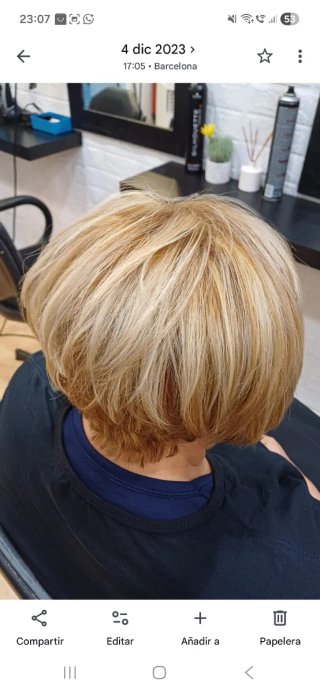 Peluquera domicilio
