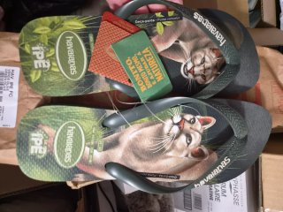 Chanclas Havaianas IPE Puma Concolor Talla 43