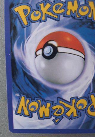 Carta Pokémon Rayquaza VMAX 218/203