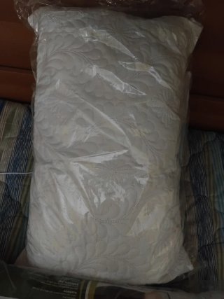 GUANCIALE Aloe vere