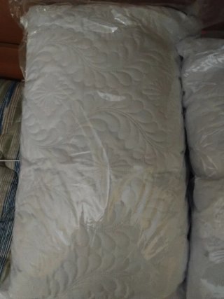 GUANCIALE Aloe vere
