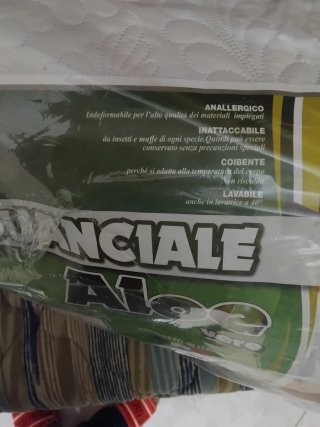 GUANCIALE Aloe vere