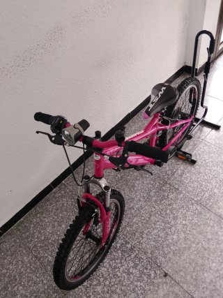 Bicicleta