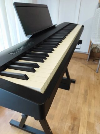 Piano Roland FP-30X con soporte