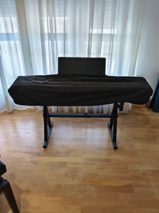 Piano Roland FP-30X con soporte