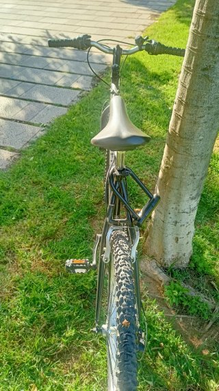 Bicicleta de montaña