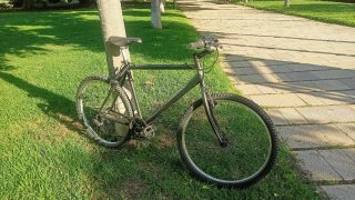 Bicicleta de montaña