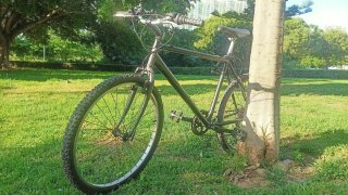 Bicicleta de montaña