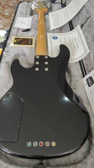 Bajo 5 cuerdas L&G Americano