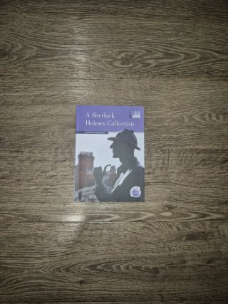 LOTE DE LIBROS DE BURLINGTON BOOKS EN INGLES