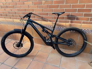 Specialized Stumpjumper Evo Expert