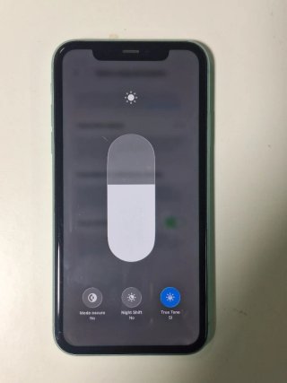 iPhone 11 Verde