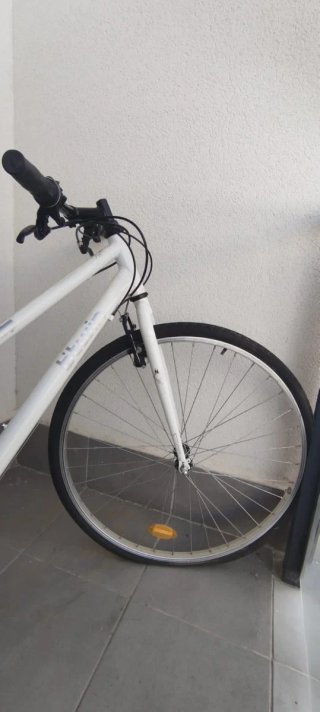 Bicicleta de paseo Riverside