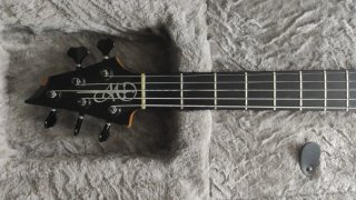 Bajo 5 cuerdas Warrior Dran Michael