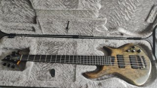 Bajo 5 cuerdas Warrior Dran Michael