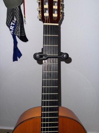Guitarra Alhambra 7FS