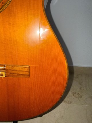 Guitarra Alhambra 7FS