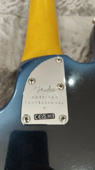 Bajo 5 cuerdas Fender AM Pro II P Bass V MN DK NIT