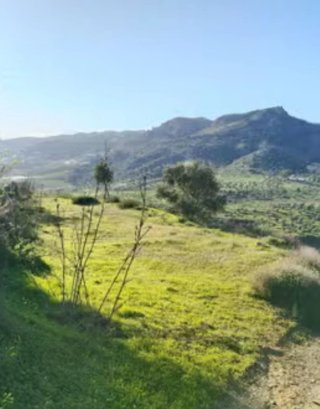PRECIOSA PARCELA EN PUERTO SERRANO,  VALENCIANO