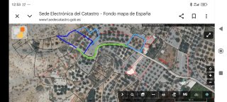 Parcela de regadío con olivos