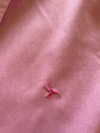 Camisa Lloyds rosa manga larga