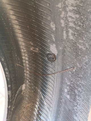 Cubierta Rueda 225/55 R19 99V