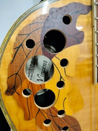 Guitarra acústica con amplificador marca Vincent