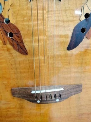 Guitarra acústica con amplificador marca Vincent