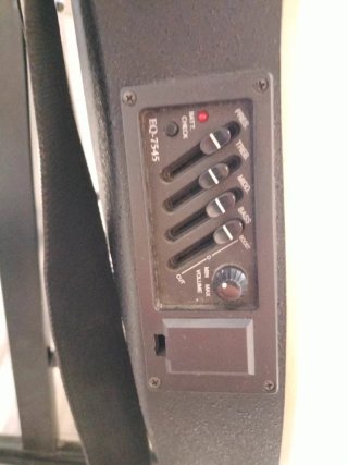 Guitarra acústica con amplificador marca Vincent