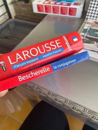 Diccionario Larousse y Bescherelle