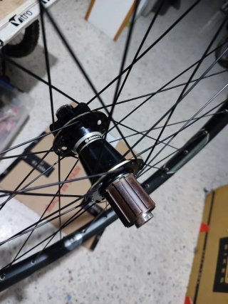 Ruota Posteriore Downhill