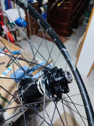 Ruota Posteriore Downhill