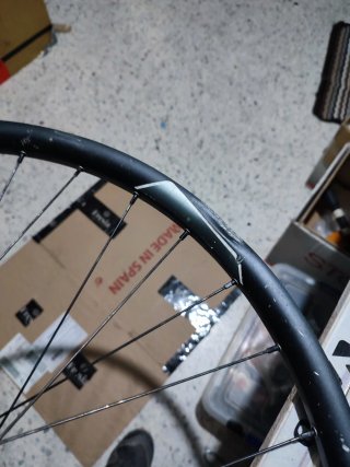 Ruota Posteriore Downhill