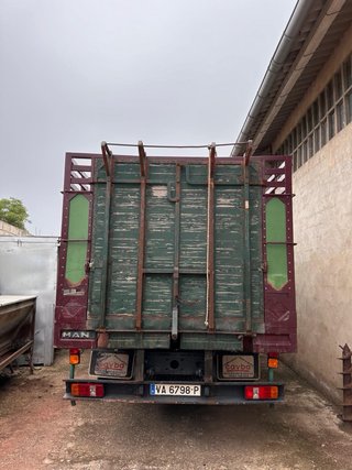 Camion ganado Man