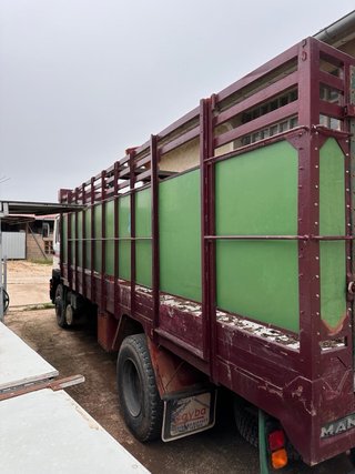 Camion ganado Man