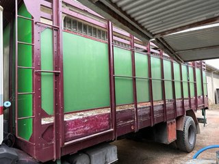 Camion ganado Man