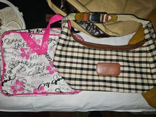 Lote Bolsos y Mochilas
