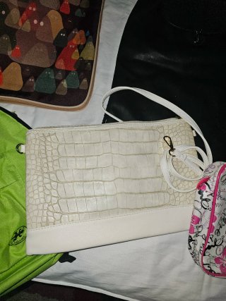 Lote Bolsos y Mochilas