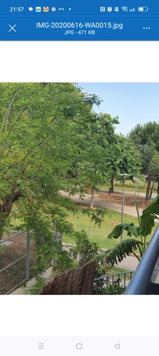 Alquiler piso Universidad Burjassot