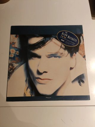 Lote 10 Vinili Pop/Rock Internazionale