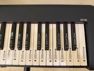 Nuevo Piano Digital Casio CDP-S100