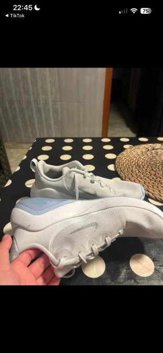 Zapatillas Nike Grises y Azules